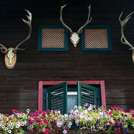 Angerer Alm Hotel Sankt Johann in Tirol Exterior photo