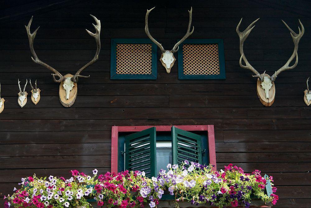 Angerer Alm Hotel Sankt Johann in Tirol Exterior photo